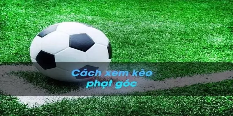 Kèo Phạt Góc Là Gì? Những Bí Quyết Bất Bại Cần Bỏ Túi Khi Tham Gia