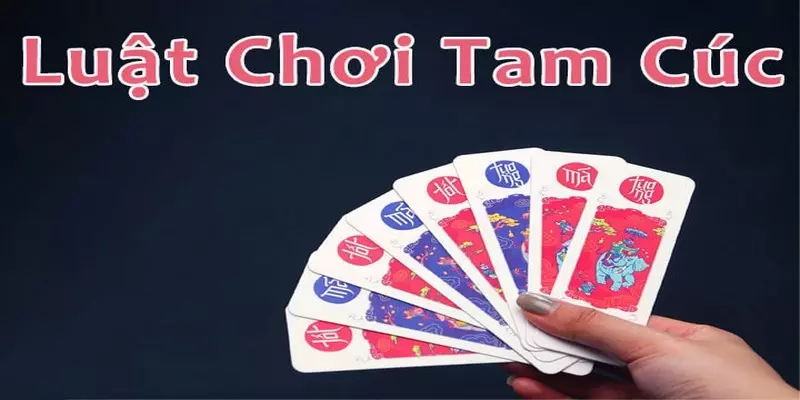 Đánh Bài Tam cúc Là Gì? Kinh Nghiệm Chơi Siêu Đỉnh Như Cao Thủ